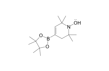 2,2,6,6-Tetramethyl-4-(4,4,5,5-tetramethyl-1,3,2-dioxaborolan-2-yl)-3,6-dihydropyridin-1(2H)-yloxyl radical