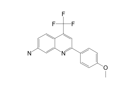 4-TRIFLUOROMETHYL-2-(4-METHOXYPHENYL)-7-AMINO-QUINOLINE