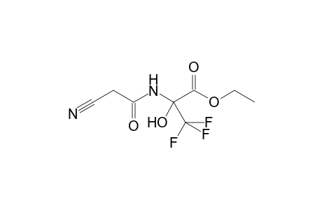 ethyl 2-[(cyanoacetyl)amino]-3,3,3-trifluoro-2-hydroxypropanoate