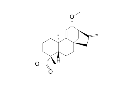 12-ALPHA-METHOXY-9,11-DEHYDRO-ENT-KAUR-16-EN-19-OIC-ACID