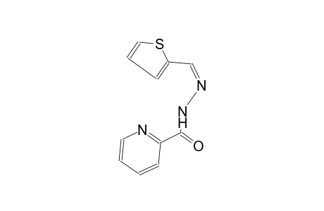 2-pyridinecarboxylic acid, 2-[(Z)-2-thienylmethylidene]hydrazide