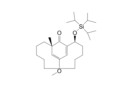 (1S,11S)-14-methoxy-1-methyl-11-((triisopropylsilyl)oxy)bicyclo[10.3.1]hexadeca-12,14-dien-16-one