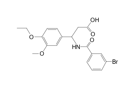 3-[(3-bromobenzoyl)amino]-3-(4-ethoxy-3-methoxy-phenyl)propanoic acid