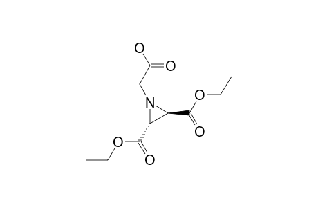 (2R,3R)-2-[2,3-[BIS-(ETHOXYCARBONYL)]-AZIRIDINE-1-YL]-ACETIC-ACID