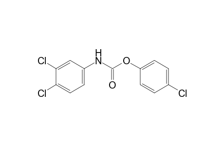 3,4-dichlorocarbanilic acid, p-chlorophenyl ester