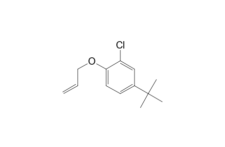 Allyl 4-tert-butyl-2-chlorophenyl ether