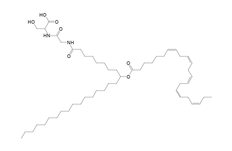 NAGlySer 22:5/26:0