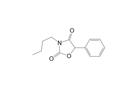 3-Butyl-5-phenyl-1,3-oxazolidine-2,4-dione