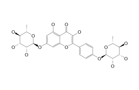 KAEMPFEROL-3,7-DI-O-ALPHA-L-RHAMNOPYRANOSIDE