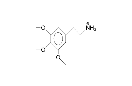 3,4,5-Trimethoxy-phenethylamine cation