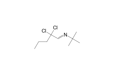 N-[(E)-2,2-dichloropentylidene]-2-methyl-2-propanamine