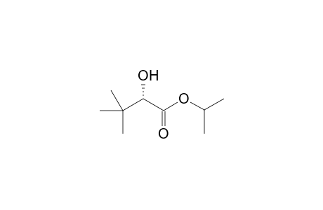 (S)-iso-Propyl-2-hydroxy-3,3-dimethylbutanoate