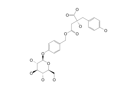 VANDATEROSIDE_I;4-(4'-BETA-D-GLUCOPYRANOSYLOXYBENZYL)-2-(PARA-HYDROXYBENZYL)-MALATE;4-(4'-BETA-D-GLUCOPYRANOSYLOXYBENZYL))-EUCOMATE