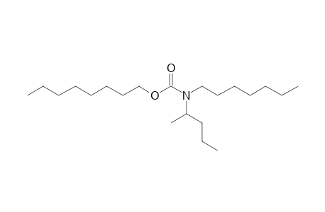 Carbonic acid, monoamide, N-(2-pentyl)-N-heptyl-, octyl ester