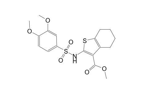 methyl 2-{[(3,4-dimethoxyphenyl)sulfonyl]amino}-4,5,6,7-tetrahydro-1-benzothiophene-3-carboxylate