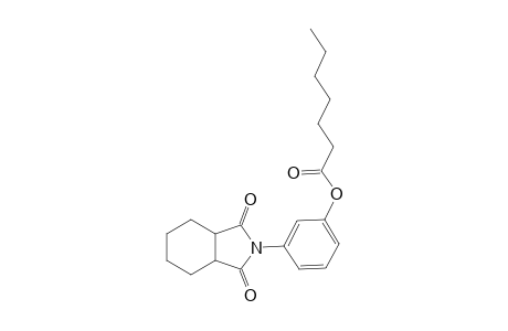 3-(1,3-Dioxooctahydro-2H-isoindol-2-yl)phenyl heptanoate