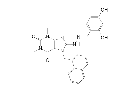 2,4-dihydroxybenzaldehyde [1,3-dimethyl-7-(1-naphthylmethyl)-2,6-dioxo-2,3,6,7-tetrahydro-1H-purin-8-yl]hydrazone