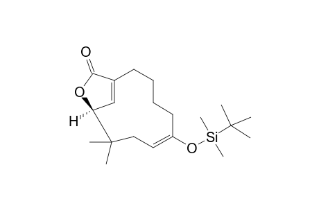 1-(tert-Butyldimethylsiloxy)-4,4-dimethyl-6-oxacycloundeca-1,6-dien-5,7-carbolactone