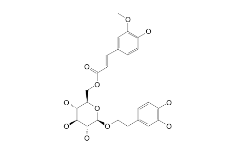 OSMANTHUSIDE-E;2-(3,4-DIHYDROXYPHENYL)-EHTYL-(6-O-FERULOYL)-BETA-D-GLUCOPYRANOSIDE