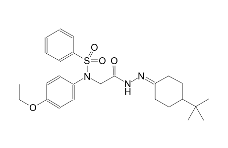 acetic acid, [(4-ethoxyphenyl)(phenylsulfonyl)amino]-, 2-[4-(1,1-dimethylethyl)cyclohexylidene]hydrazide
