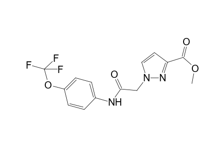 1H-Pyrazole-3-carboxylic acid, 1-[2-oxo-2-[[4-(trifluoromethoxy)phenyl]amino]ethyl]-, methyl ester