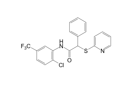 6'-CHLORO-2-PHENYL-2-[(2-PYRIDYL)THIO]-alpha,alpha,alpha-TRIFLUORO-m-ACETOTOLUIDIDE