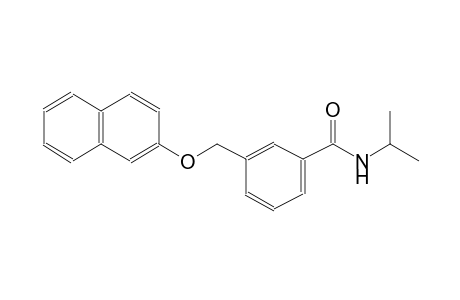 N-isopropyl-3-[(2-naphthyloxy)methyl]benzamide