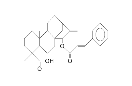 Cinnamoyl-grandifloric acid