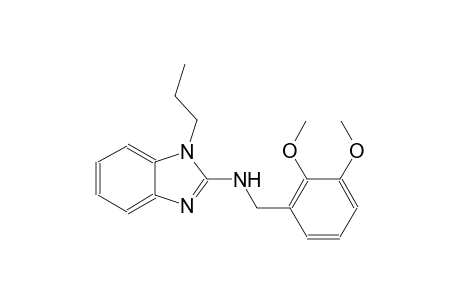 N-(2,3-dimethoxybenzyl)-1-propyl-1H-benzimidazol-2-amine