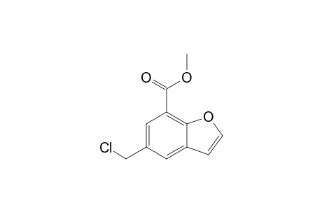 Methyl 5-(Chloromethyl)benzofuran-7-carboxylate