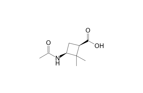 (1R,3S)-3-Acetamido-2,2-dimethylcyclobutanecarboxylic acid