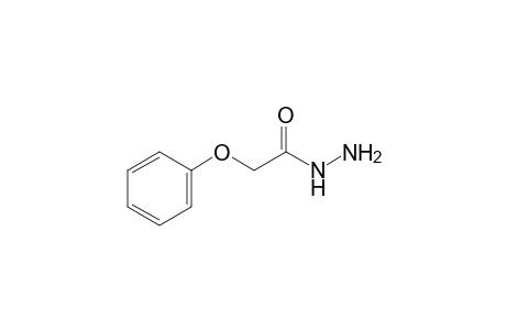 phenoxyacetic acid, hydrazide