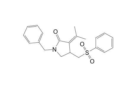 1-(Phenylmethyl)-4-(phenylsulfonylmethyl)-3-propan-2-ylidene-pyrrolidin-2-one