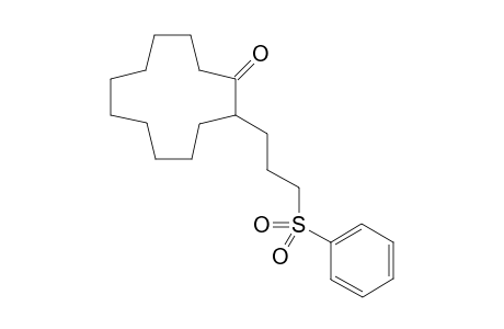 2-[3-(Phenylsulfonyl)propyl]cyclododecanone