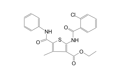 ethyl 5-(anilinocarbonyl)-2-[(2-chlorobenzoyl)amino]-4-methyl-3-thiophenecarboxylate