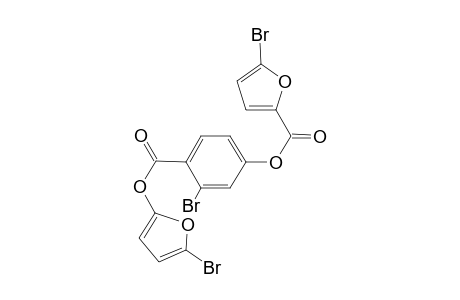 3-Bromo-4-{[(5-bromo-2-furyl)oxy]carbonyl}phenyl 5-bromo-2-furoate