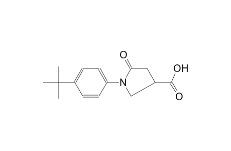 1-(4-tert-Butylphenyl)-5-oxo-3-pyrrolidinecarboxylic acid