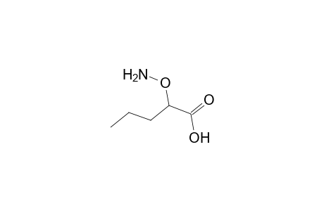 Pentanoic acid, 2-(aminooxy)-