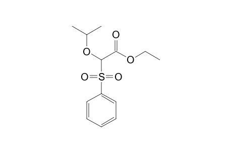 2-(benzenesulfonyl)-2-propan-2-yloxyacetic acid ethyl ester