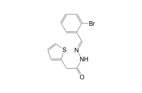 N'-[(E)-(2-bromophenyl)methylidene]-2-(2-thienyl)acetohydrazide