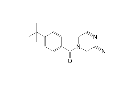 4-tert-butyl-N,N-bis(cyanomethyl)benzamide