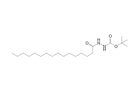 N-Hexadecanoyl-N'-tert-butoxycarbonylhydrazine