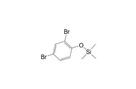 Silane, (2,4-dibromophenoxy)trimethyl-