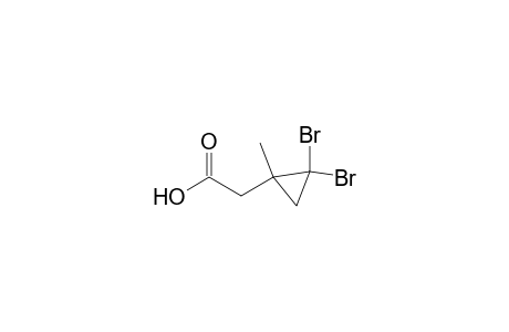 2-(2,2-dibromo-1-methyl-cyclopropyl)acetic acid