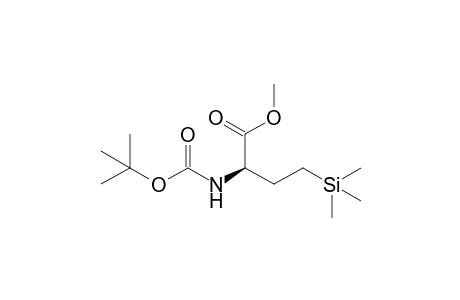 (2R)-2-(tert-butoxycarbonylamino)-4-trimethylsilyl-butyric acid methyl ester