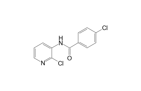 4-Chloro-N-(2-chloro-3-pyridinyl)benzamide