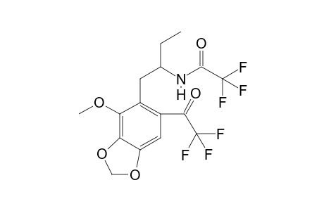 1-(2-Methoxy-3,4-methylenedioxyphenyl)butan-2-amine 2TFA II