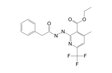 4-methyl-2-[N'-(2-phenylacetyl)hydrazino]-6-(trifluoromethyl)nicotinic acid ethyl ester