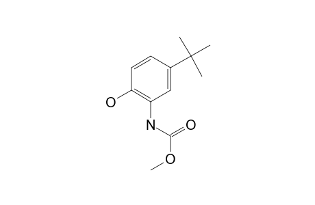 2-Amino-4-tert-butylphenol, N-methoxycarbonyl-