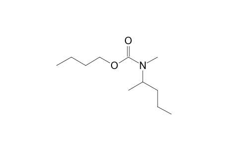 Carbonic acid, monoamide, N-(2-pentyl)-N-methyl-, butyl ester